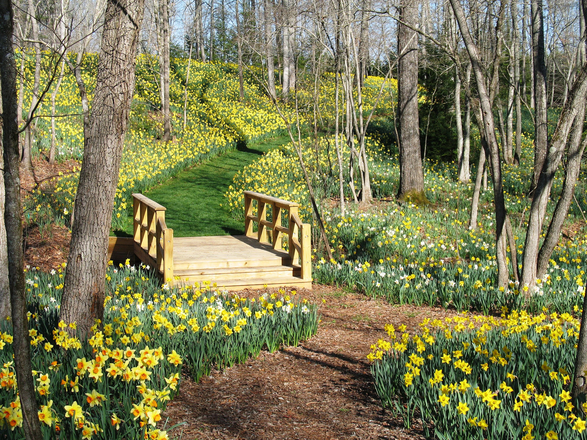 Ball Ground, Georgia neighborhood
