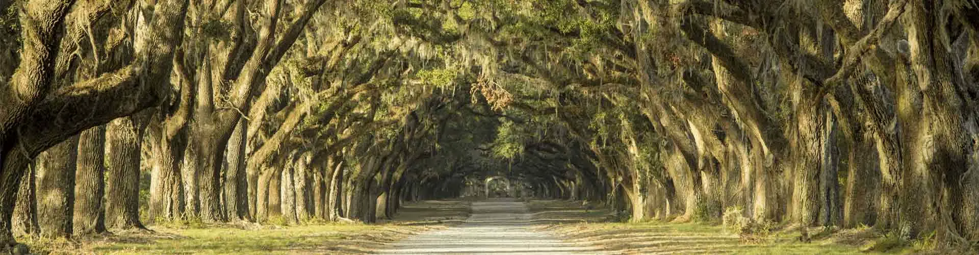 Holly Springs, Georgia